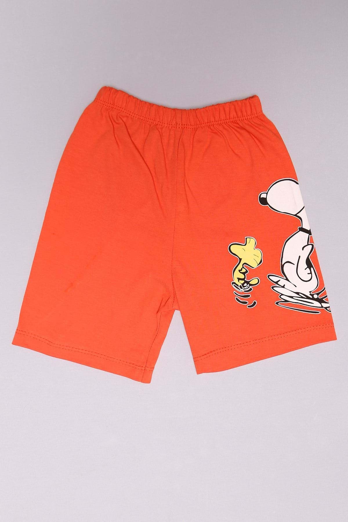 9 Ay-3 Yaş Çocuk Takım Kiremit - 152468.1803. resmi