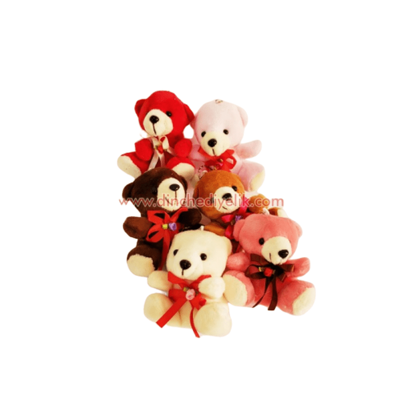 Ayıcık Anahtarlik resmi